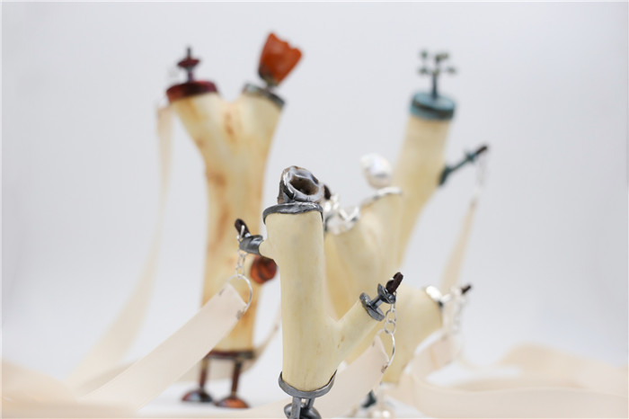 1558681216476474.jpg 系列三全家福1.JPG