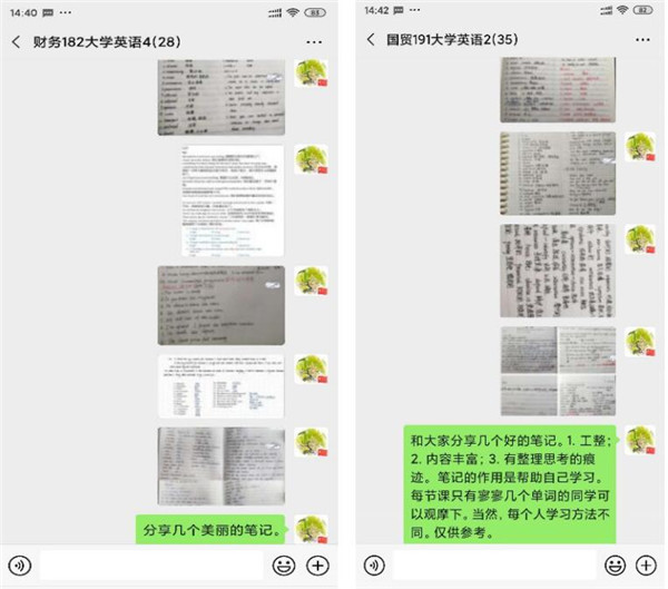 1584356846587321.jpg 4.jpg