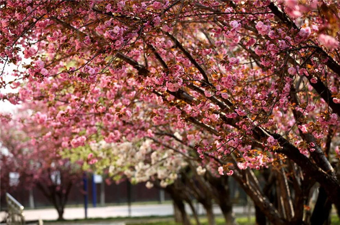 1586843809467505.jpg QQ截图20200414135234.jpg