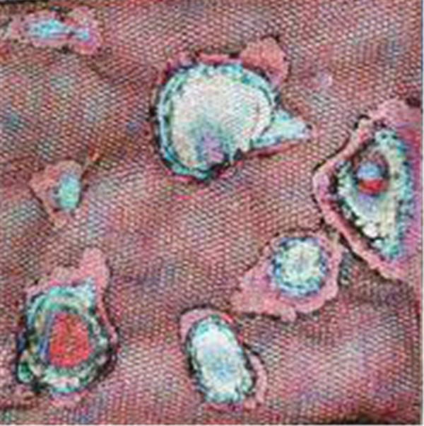 1594608392584373.png 胡逸梦同学作品《损坏》 1.png