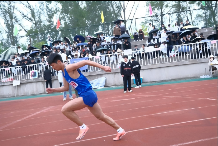 1729583895642010.png 10.png