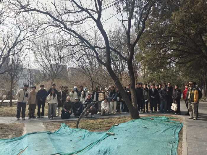 1741230008179195.jpg 1741229983674851.jpg