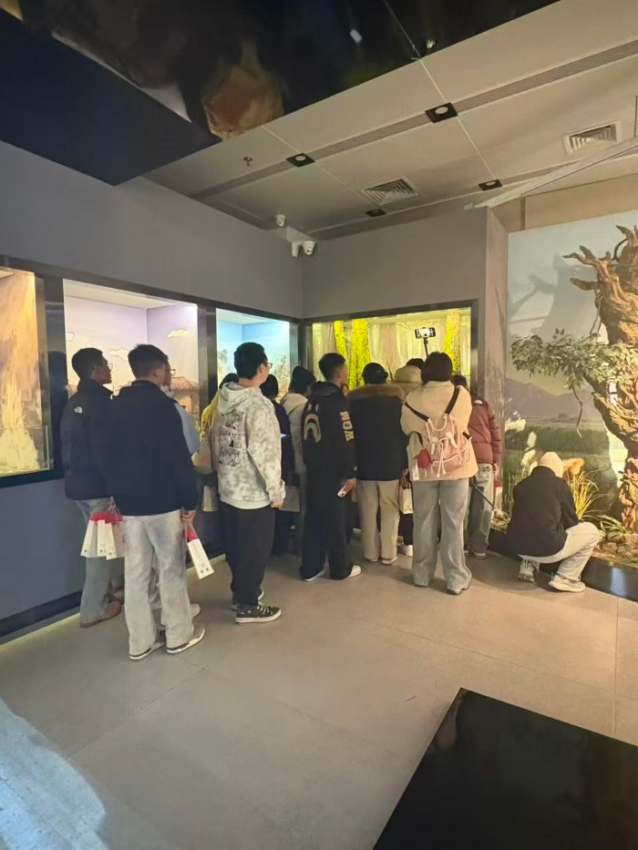 1764639406143955.jpg 图片六.jpg