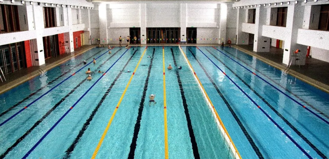 1729502579438582.jpeg 1729502579438582.jpeg