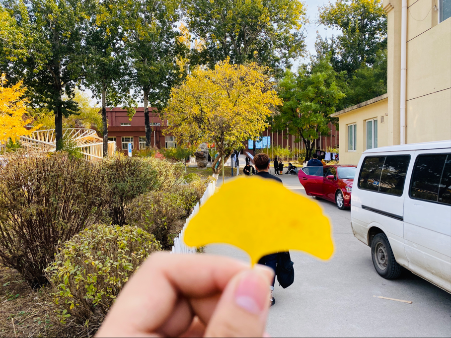 1596675079326197.png 岳文涛.png