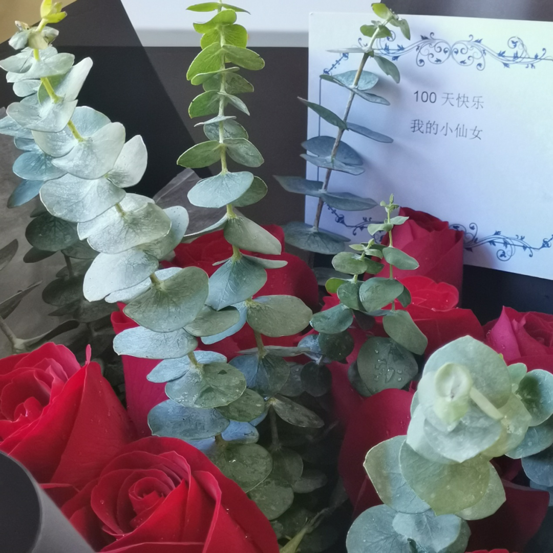 1596677838737146.png 强雪辰2.png