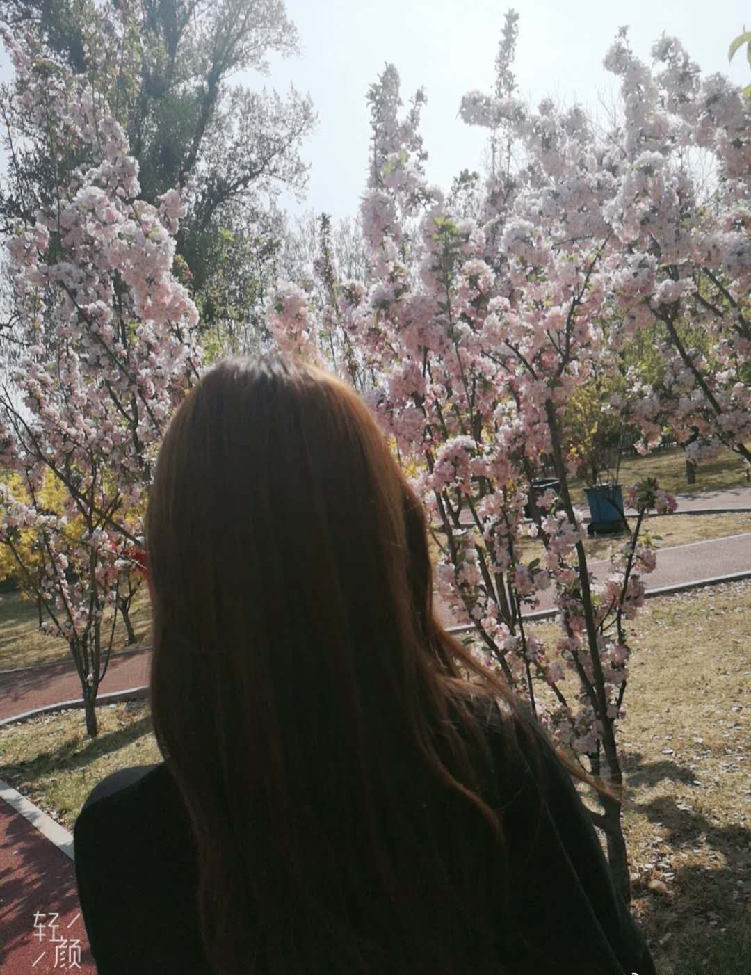 1596678761812020.png 冉琳.png